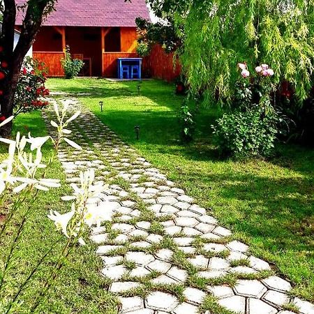 Villa Casa Pavel Jurilovca Extérieur photo