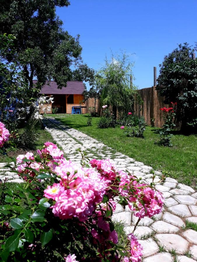 Villa Casa Pavel Jurilovca Extérieur photo
