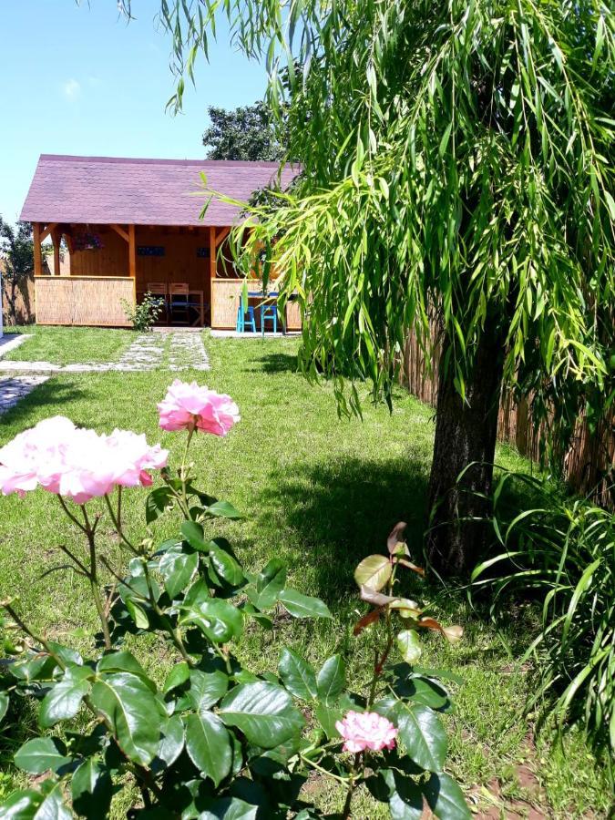 Villa Casa Pavel Jurilovca Extérieur photo