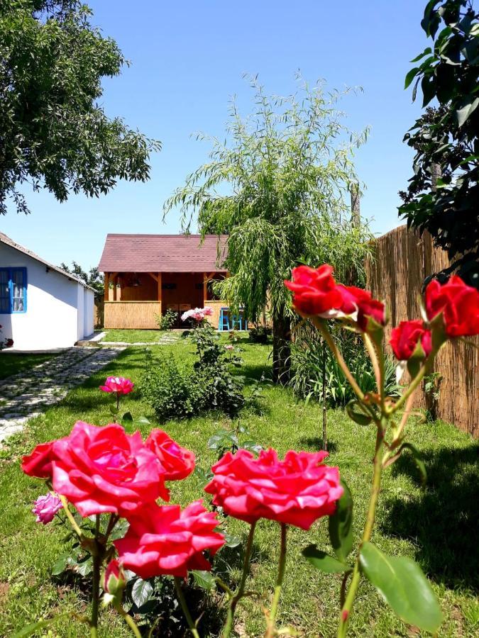 Villa Casa Pavel Jurilovca Extérieur photo