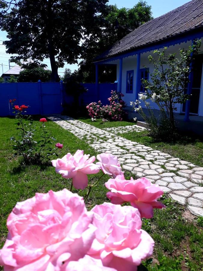 Villa Casa Pavel Jurilovca Extérieur photo