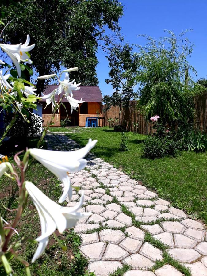 Villa Casa Pavel Jurilovca Extérieur photo